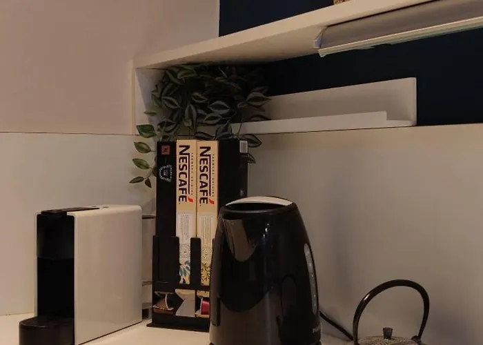 Apartment De Charme 1860-1900 *